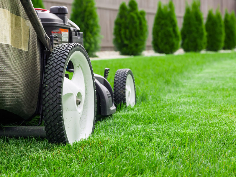 Collecting payments every month for your lawn care and landscaping services takes time